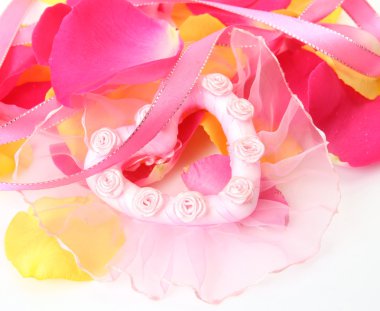 Beyaz zemin üzerine gül yaprakları