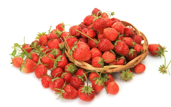 Ripe strawberry on a white background — Stock Photo, Image