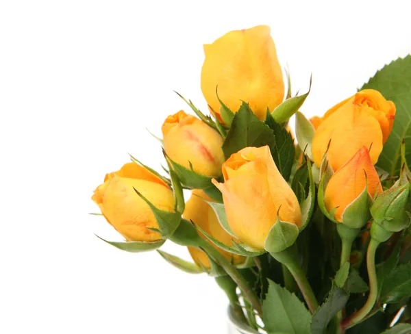 Bouquet of yellow roses — Stock Photo, Image