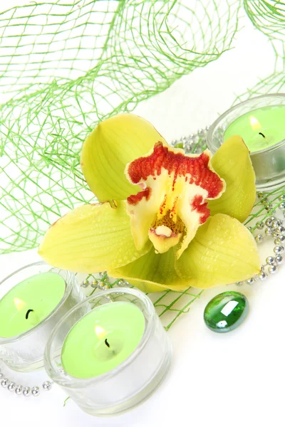 Orchidea gialla e candele — Foto Stock