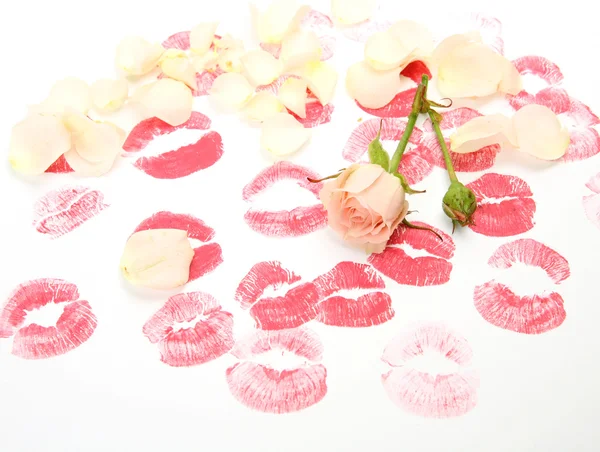 Розы и отпечатки женских губ — стоковое фото