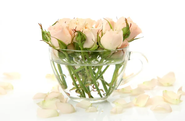 Gentle roses in vase — Stock Photo, Image