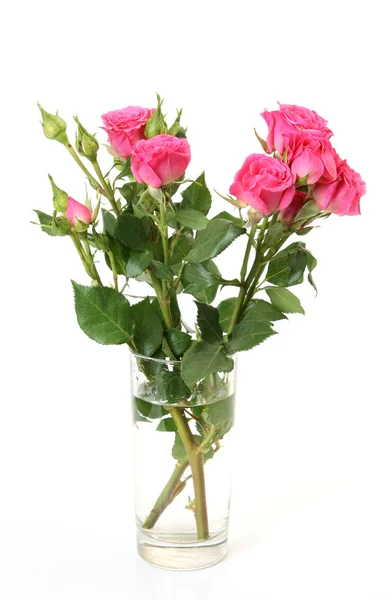 Bouquet di rose in vaso — Foto Stock