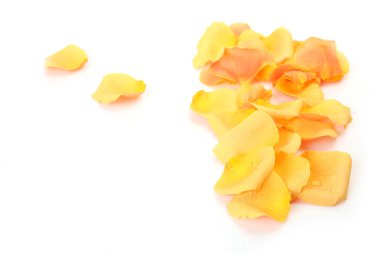 Beyaz arka planda gül yaprakları