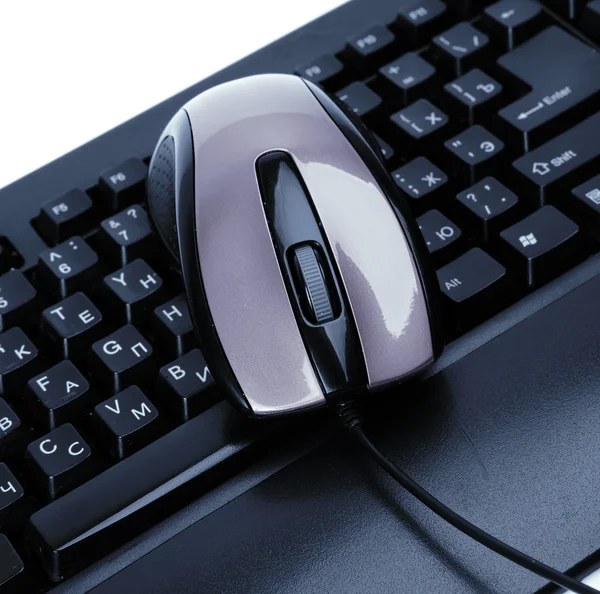 The computer mouse and the keyboard — Stock Photo, Image