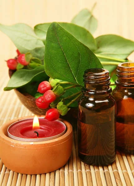 Aromaterapia, spa, masaje — Foto de Stock