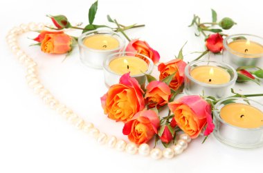 Beyaz arkaplanda güller