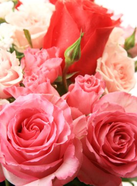 Güzel kırmızı gül buketi