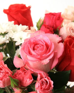 Güzel kırmızı gül buketi