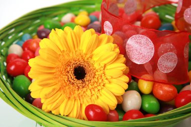 Sarı gerbera ve yeşil sepetteki yuvarlak şekerler.