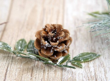 Dekorasyon için noel süsü ve dalları