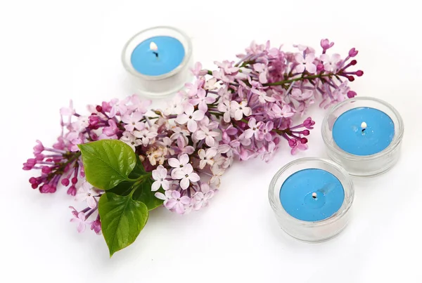 Lilac Flower Blue Candles White Background — Stock Photo, Image