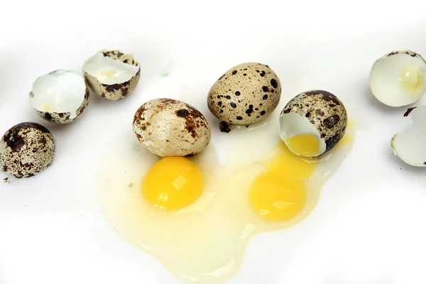 Broken Quail Egg White Background — Stock Photo, Image