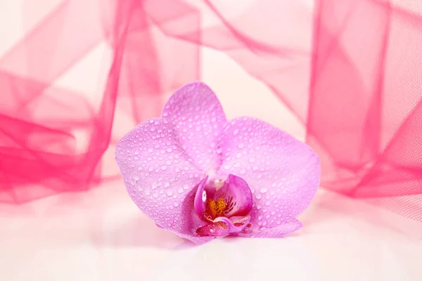 Pink Orchid Pink Fabric — Stock Photo, Image