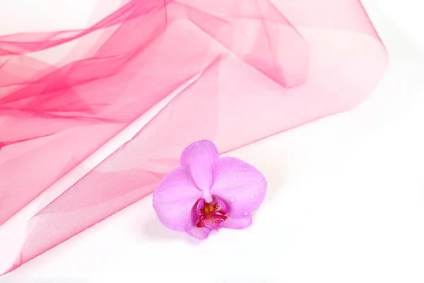 Roze Orchidee Roze Stof — Stockfoto