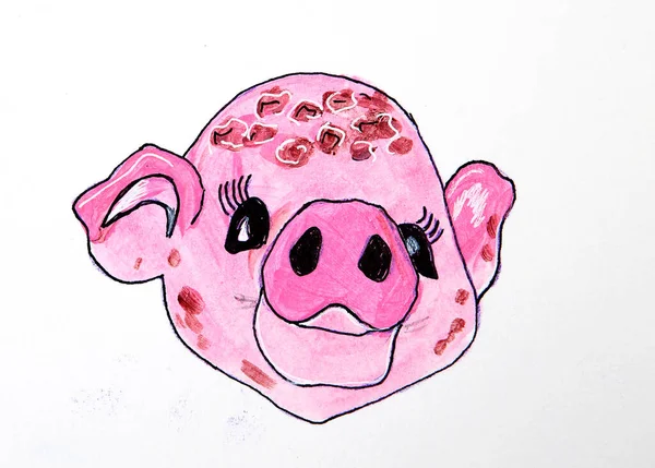 Морда Розовой Свиньи Белом Фоне — стоковое фото