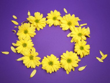 Leylak arkaplanda sarı kasımpatı 