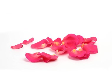 Beyaz arkaplanda pembe gül yaprakları