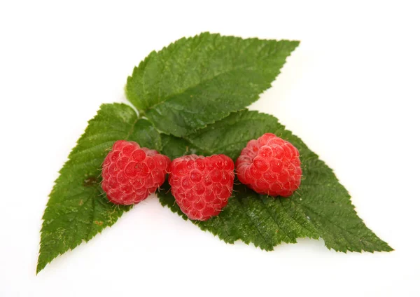Ripe Raspberries White Background — Stock Photo, Image