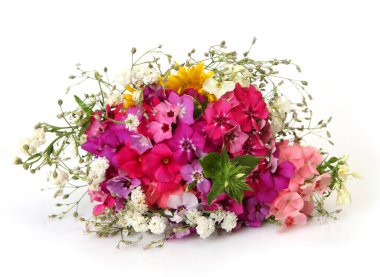 Beyaz arka planda pembe kır çiçekleri. 