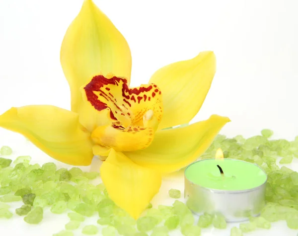 Gelbe Orchidee Und Brennende Kerzen — Stockfoto