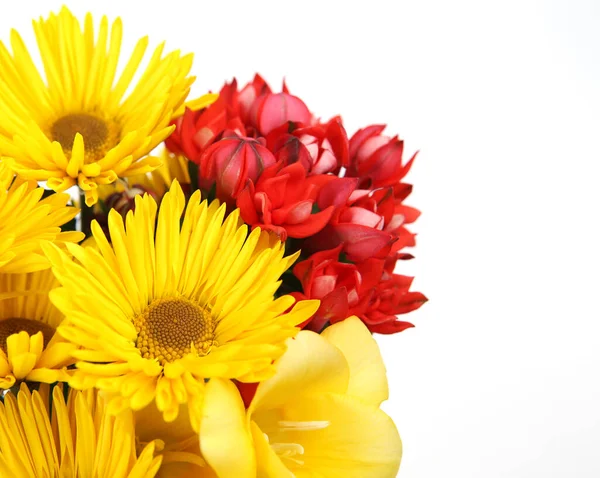 Fleurs Rouges Jaunes Sur Fond Blanc — Photo