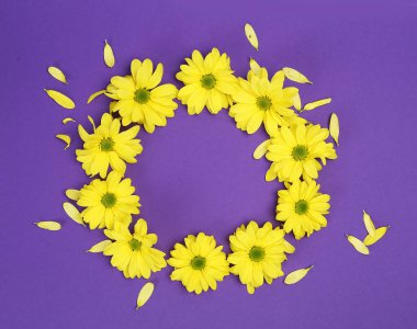 Leylak arkaplanda sarı kasımpatı çiçekleri