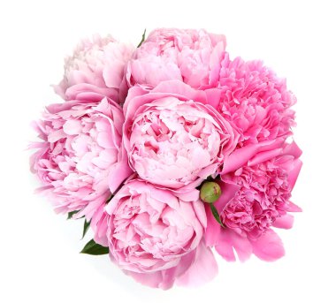 Beyaz arka planda pembe çiçek açan şakayık. 