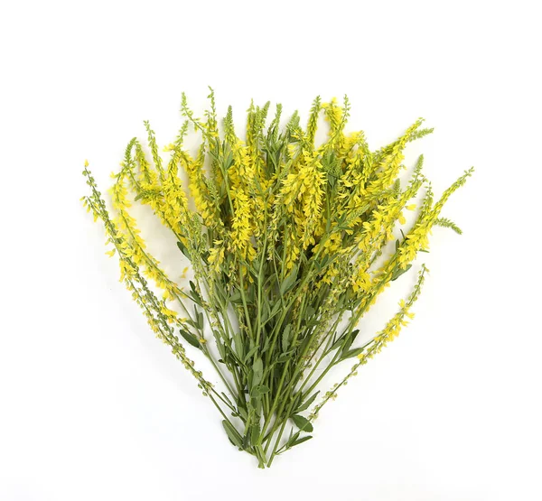 Kytice Žlutých Květin Béžovém Pozadí — Stock fotografie
