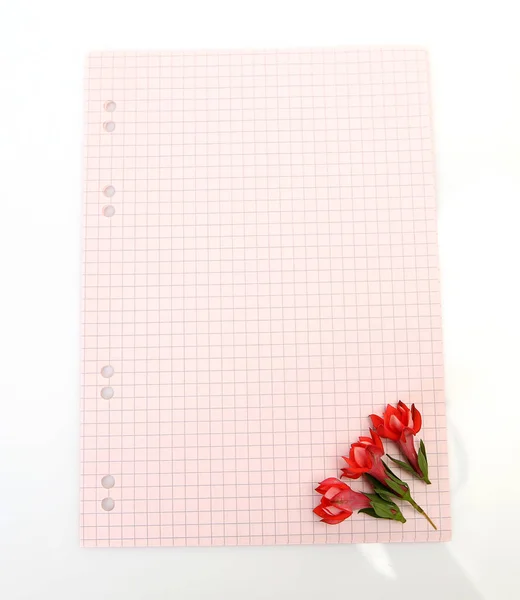 Hoja Cuaderno Flores Rojas — Foto de Stock