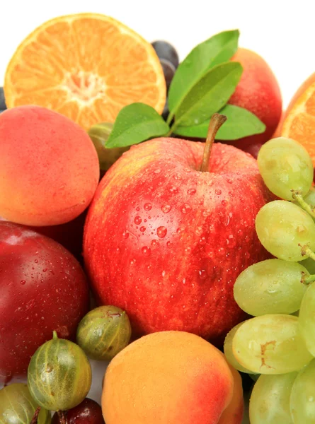 Frutos maduros — Fotografia de Stock
