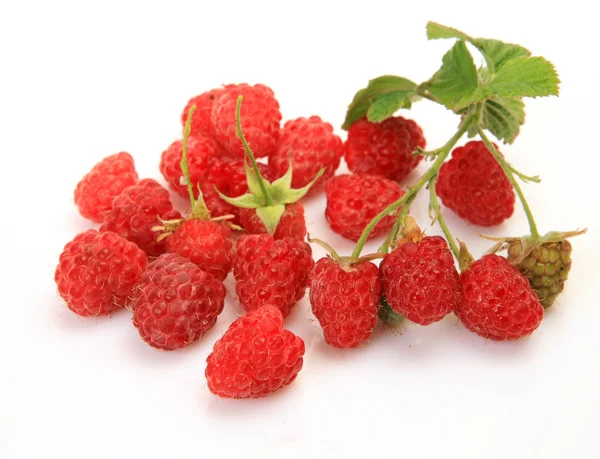 Ripe raspberries — Stock Photo, Image