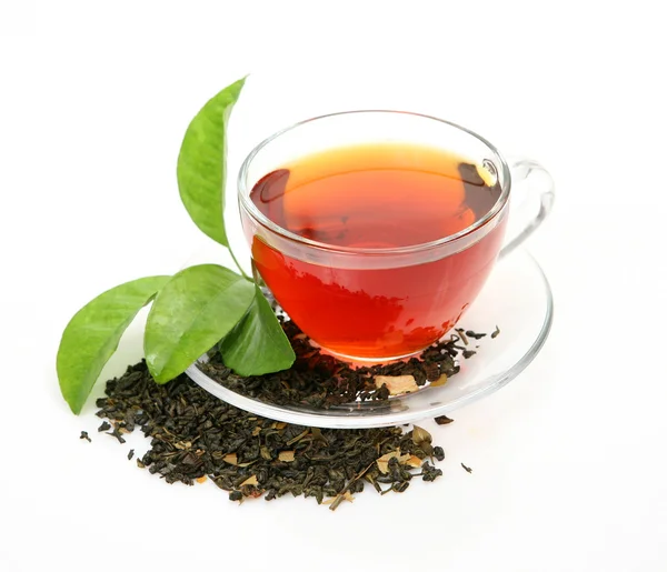 Té y hojas verdes — Foto de Stock