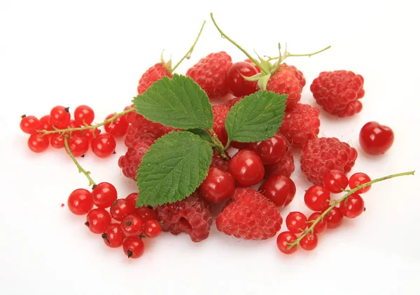 Ripe berries — Stock Photo, Image