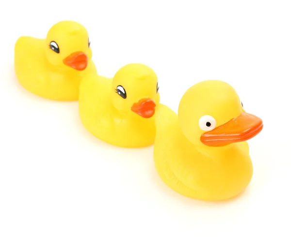 Three rubber ducks — Stock Photo, Image