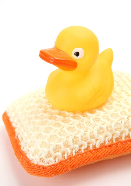 Mâle de canard et de bain — Photo