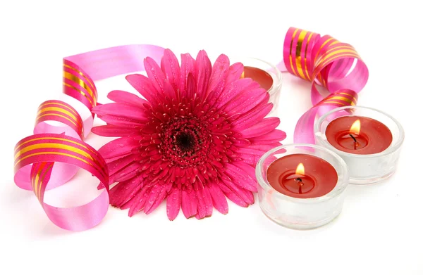 Flower and candles — Stockfoto