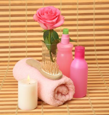 bir duş ve banyo için konular