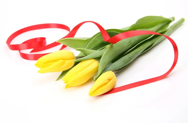 Yellow tulips — Stock Photo, Image