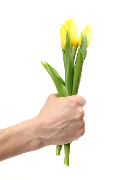 Strauß Tulpen — Stockfoto