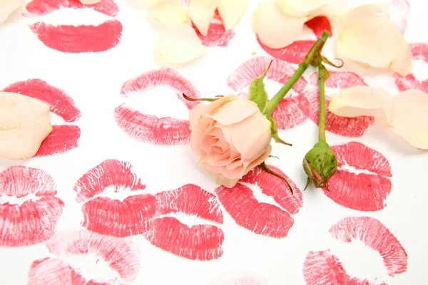 입술과 장미 인쇄 — 스톡 사진