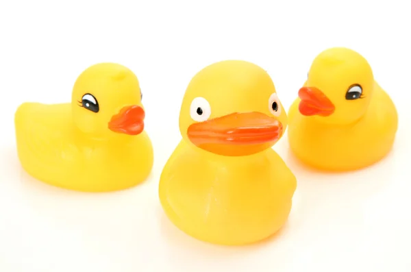 Yellow ducks — Stock Photo, Image