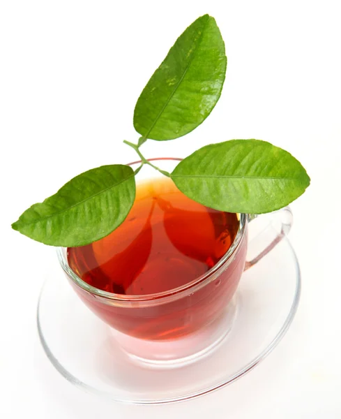 Чай и зеленый лист — стоковое фото