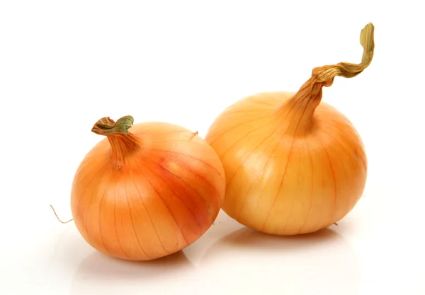 Fresh onions — Stock Photo, Image