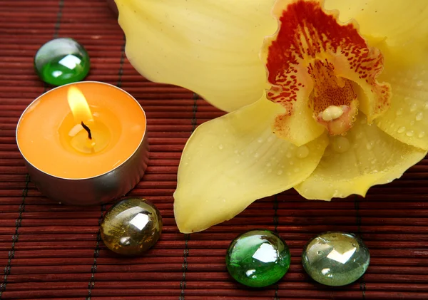 Желтая орхидея и свечи — стоковое фото