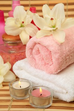 bir bedene bakmak için özneler