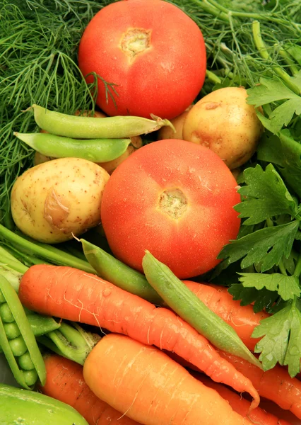 Fresh vegetables — Stock Photo, Image