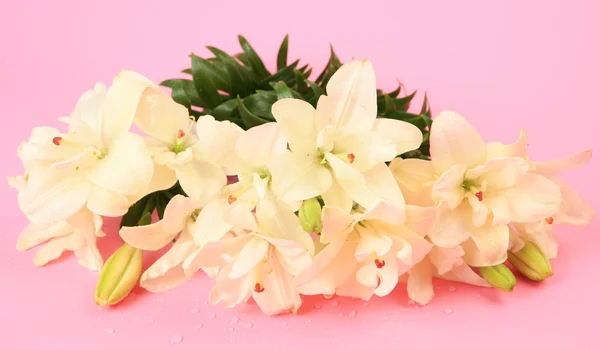 Bouquet of lilies — Stock Photo, Image