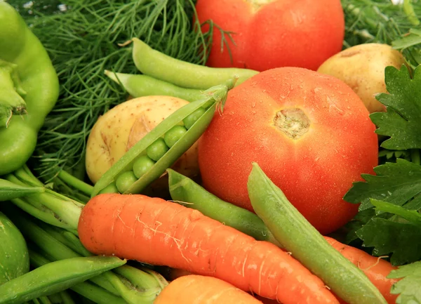 Sayuran segar — Stok Foto