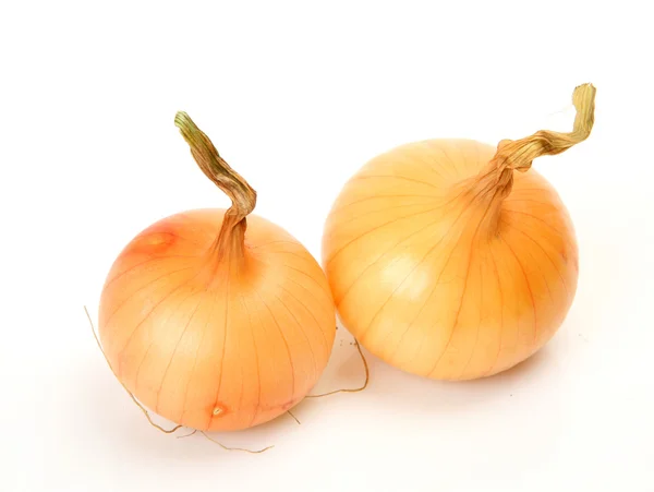 Ripe onions — Stock Photo, Image